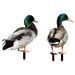 2 Pcs Animal Outdoor Decorations Sculpture Stake Garden Accessory Duck Garden Decoration The Sign Acrylic