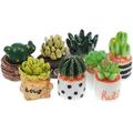 8 Pcs Indoor Plants Models Bed Room Decor Cactus Artificial Plants Miniature Plants Doll House Accessories Simulated Cactus Micro Landscape Ornaments Statue Resin