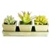 K-Cliffs Faux Rustic Wooden Succulent Planter Arrangement| of Cactus Aloe Vera