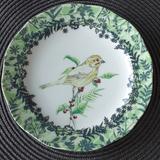 Anthropologie Dining | Anthropologie Birdwatcher Salad Luncheon Plate 7.75" Green Rim | Color: Green/Yellow | Size: 7.75"