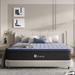 Queen Mattress, 12 Inch, Bamboo Charcoal Memory Foam, CertiPUR-US, Medium Firm, Pocketed Coil System