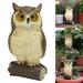 Hesxuno Fake Owl Bird Scarecrow Decoy Plastic Owl Bird Deterrents Outdoor Ornaments