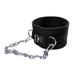 funtasica Dip Belt Dipping Belt for Weightlifting with Chain with Buckles Weight Lifting Belt Weight Belt for Pull Ups Men Women Gym Metal Buckle