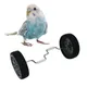 Jouets pour oiseaux accessoires pour animaux de compagnie matériel robuste inodore durable