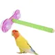 Support de jeu pour perroquets et oiseaux perchoir d'entraînement pour oiseaux perchoirs de