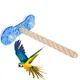 Support de jeu en bois pour perroquet perchoirs d'entraînement pour oiseaux perchoir