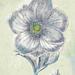 Winston Porter Belle Fleur II by Sue Schlabach - Wrapped Canvas Painting Canvas | 20 H x 20 W x 1.25 D in | Wayfair