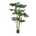 Christopher Knight Home Stilwell 4 x 2.5 Artificial Monstera Tree by 6 x 4