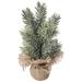 Northlight Seasonal 7.75" Faux Pine Tree in Pot Plastic in Brown/Green | 7.75 H x 4 W x 4 D in | Wayfair NORTHLIGHT HN92681
