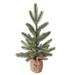 Northlight Seasonal 14" Faux Pine Tree in Pot Plastic in Brown/Green | 14 H x 8.5 W x 8.5 D in | Wayfair NORTHLIGHT HN92691