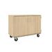 Stevens ID Systems Classroom Storage Mobile Cart - 18 (3" Bins) Wood in Brown/White | Wayfair 80275 F36-073