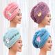 Magic Microfiber Shower Cap Embroidery Towel Bath Hats Dry Hair Cap Quick Drying Soft for Lady Turban Head