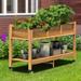 Moasis 2-Tier Outdoor Raised Garden Bed Planter Box Wood Mobile Elevated Stand With Lockable Wheel and Legs