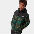 The North Face Jackets & Coats | Euc The North Face Boys Reversible Perrito Jacket | Color: Green | Size: L (14/16)