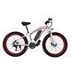 TABKER Bike Bicycle Speed Fat Mountain Bike Road Bikes Man Fat Bike Spring Fork Bicycle