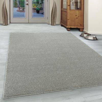 Teppich AYYILDIZ TEPPICHE "ATA", beige (cream), B:280cm H:10mm L:370cm, Kunstfaser, Teppiche, Kurzflor, uni, große Farba