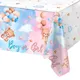 Nappe de Poulet pour ixde Révélation du Sexe du Bébé Garçon ou Fille Décor de ixPréChristophe