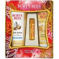 Burt S Bees Honey Pot Holiday Gift Set 3 Honey Skin Care Products - Milk & Honey Body Lotion Honey & Grapeseed Hand Cream And Honey Lip Balm