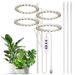 Grow Lights for Indoor Plants 4 Heads 6.2W 301.7lm 80LED 4000K USB Powered Grow Light 8H/12H/16H Timer 5 Dimmable Brightness Plant Growing Lamps for Succulents / Bonsai / Small Plants