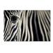 Trademark Fine Art Eye & Stripes Canvas Art by Mario Moreno