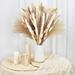 Coolmade 17 Natural Dried Pampas Grass Decor 125 Pcs Pampas Grass Contains White Bunny Tails Dried Flowers Reed Grass Bouquet for Wedding Boho Flowers Home Table Decor Rustic Farmhouse Party