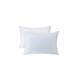 Alwyn Home Anntonette Plush Support Cooling Pillow Shredded Memory Foam | 20 H x 30 W x 7 D in | Wayfair CB3D7D193B364CA88F8FED05B3E67A81