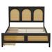 Bayou Breeze Arstides Platform Storage Bed Wood in Black | 45.7 H x 56.4 W x 80.7 D in | Wayfair 764558D41DF541BF84BF710E4238DDD3