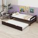 Winston Porter Eldrick Twin Size Platform Bed w/ Twin Size Trundle Wood in Brown | 22.1 H x 40.6 W x 77.4 D in | Wayfair