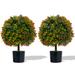 Primrue 22" Faux Boxwood Topiary in Pot Ceramic/Plastic in Black | 22 H x 15 W x 15 D in | Wayfair FEEC5542EB284E9FBD4D16F71B0BE273