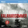 Pidax Hörspiel-Klassiker - Kalaharisommer - Pivatdetektiv Hannibal Hunter,1 Audio-Cd, Mp3 - Sebastian Goy (Hörbuch)