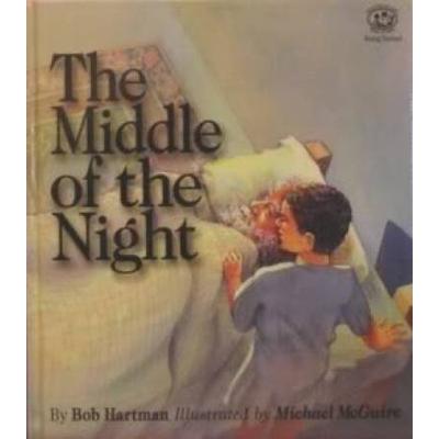 The Middle of the Night What Was It Like Bible Sto...