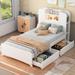 Twin Size Storage Bed Frame w/ Bookcase Headboard & 2 Storage Drawers, Wooden Platform Bed with Light Strip Design in Headboard