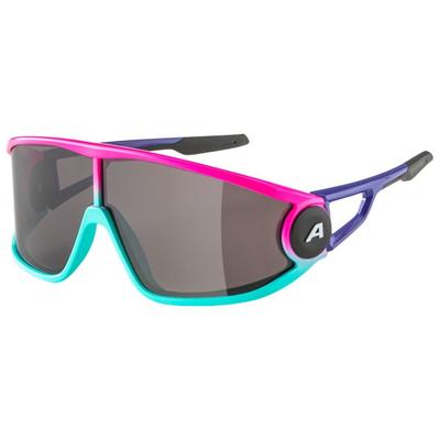 Alpina - Legend Cat. 3 - Sonnenbrille grau Image
