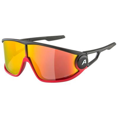 Alpina - Legend Q-Lite Cat. 3 - Sonnenbrille bunt Image