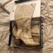 Torrid Shoes | Nib Gourgous Torrid Beige Leather High Lace Up Boots. | Color: Cream/Tan | Size: 12