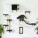 Pefilos Cat Wall Shelves and Perches Set of 5 Sleeping Playing Lounging Climbing Cat Tree House for Multiple Cats Black