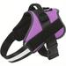 DABEI Reflective No-Pull K9 Dog Harness For Small And Medium Dogs - Comfortable And Secure Pet Harness For Outdoor Activities