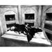 Addams Family 1991 Christina Ricci as Wednesday lying on tombstone 8x10 photo