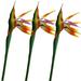 32.5 Inch Large Elegant Bird of Paradise Artificial Flower for Home Office 3 Pcs Sunset
