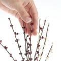 Pack Of 12 Burgundy And Cream Pip Berry Stems - Holiday Rustic Berries Farmhouse Home Decor For Table Arrangements And Seasonal Centerpiece Decorations (12 H)