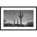 Wendover Art Group Three Cacti by Christopher Kennedy - Picture Frame Photograph on Paper in Black/White | 32.5 H x 50.5 W x 1.13 D in | Wayfair