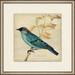 Wendover Art Group 'Birds of Feathers 3' - Picture Frame Graphic Art on Paper in Blue | 22 H x 22 W x 0.5 D in | Wayfair PG1207