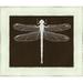 Wendover Art Group Cabin Collection Dragon Fly - Picture Frame Graphic Art on Glass in Brown/White | 11 H x 13 W x 1 D in | Wayfair PG2619