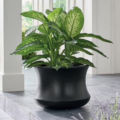 Curtis Pot Planter Pots 15H - Black - Grandin Road