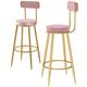 Kitchen Stools Set of 2 Bar Stools Breakfast Bar Stools Barstools High Chairs with Footrest and Back Modern Height Stools for Indoor and Outdoor for Living Room Kitchen Dining Room