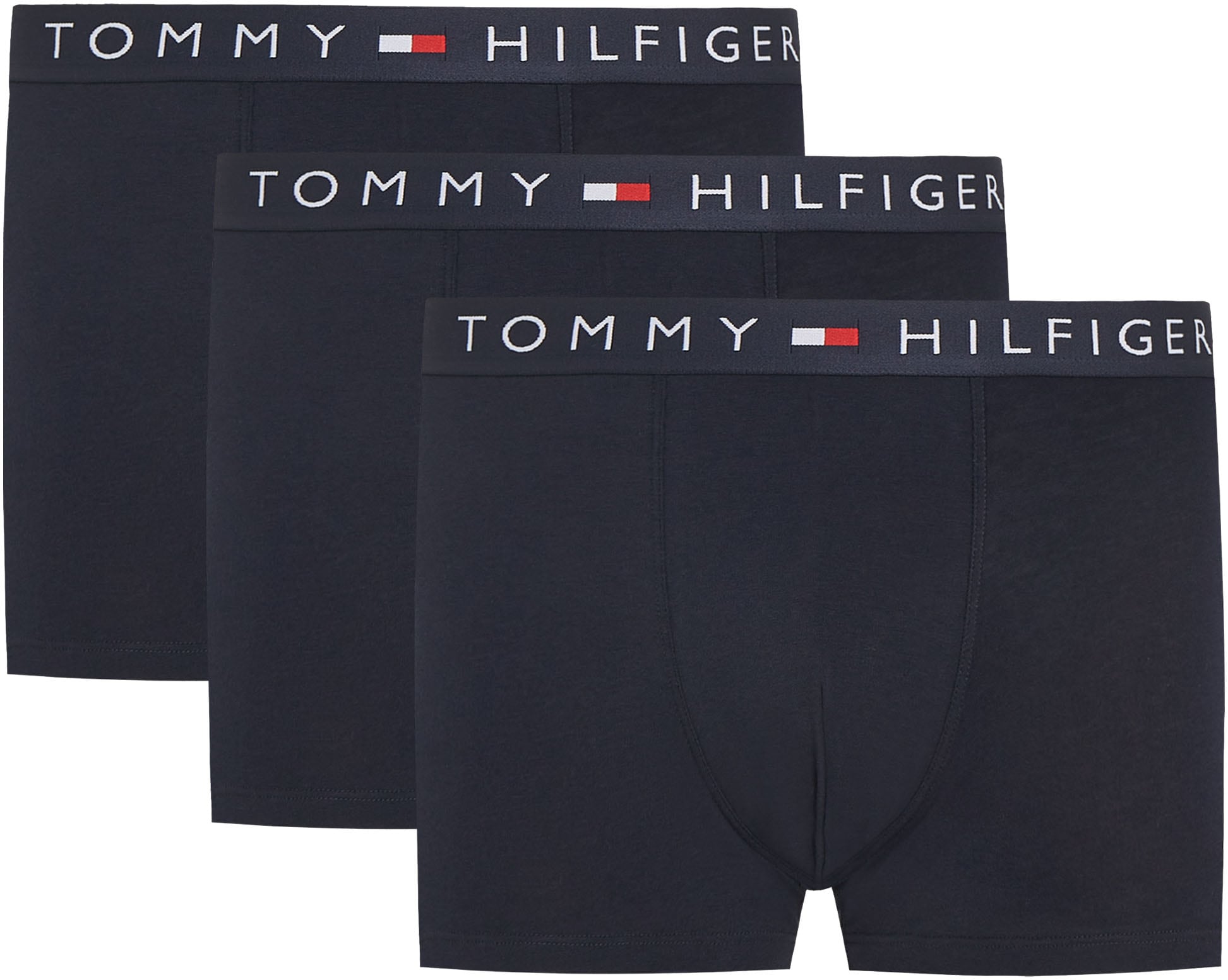 Trunk "3P TRUNK", Herren, Gr. XL (54), blau (des sky, des sky, des sky), Jersey, Obermaterial: 95% Baumwolle, 5% Elasthan, TOMMY HILFIGER UNDERWEAR, unifarben, körpernah, Unterhosen, mit Tommy Hilfiger Logoschriftzug Image