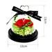 3 Enchanted Roses LED Night Light Glass Dome Preserved Flower Lamp Romantic Decor Gift (with Gift Box)