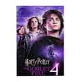 300 Piece Jigsaw Puzzle For Adults & Kids - Harry Potter Puzzle For Boys Girls Puzzle Enthusiasts