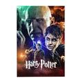 300 Piece Jigsaw Puzzle For Adults & Kids - Harry Potter Puzzle For Boys Girls Puzzle Enthusiasts