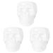 Plant Pots Ceramic Cactus Planter 3 PCS Skull Flower Halloween Decor Decortions Succulent White